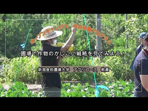 7.17OC学科体験P_アグリコース