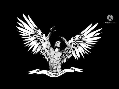 We go gym we go jim . Mqx next to me (hardstyle