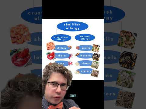 What is a shellfish allergy? #shellfish #allergies #doctor