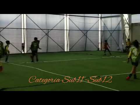 Entrenamiento  academia  Jogo Bonito