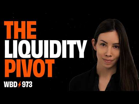 Bitcoin, Gold & the Coming Liquidity Pivot | Lyn Alden