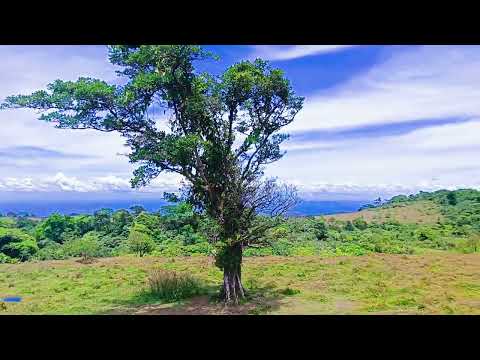 img-video