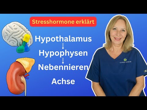Understanding stress hormones: The CRH–ACTH–cortisol axis explained | Dr. Claudia Bignion