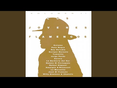 Lucero de Noche Encantada (feat. Josemi Carmona, Antonio Carmona, Juan Carmona)