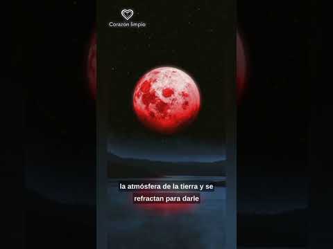 "Las Lunas de Sangre: Profecías y Significados Bíblicos Revelados"