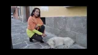 INFORMATIVO 5_Mingakuento III