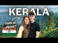 48 Hours In Munnar Kerala India S Jaw Dropping Hidden Gem