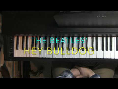 download lagu mp3 mp4 Hey Bulldog Piano, download lagu Hey Bulldog Piano gratis, unduh video klip Hey Bulldog Piano