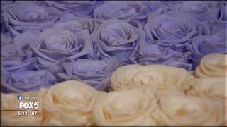 Roses That Last 1 Year