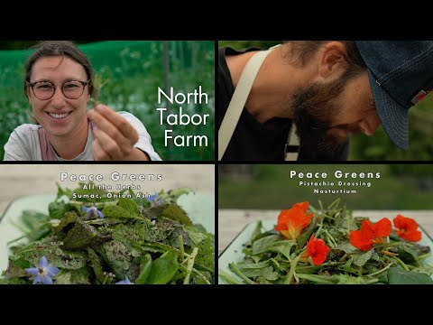 North Tabor Farm's Peace Greens | Martha's Vineyard | Two Farm Fresh Salad Dressings