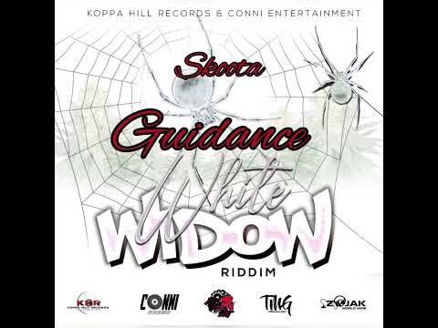 Skoota - Guidance (Official Audio) #Skoota