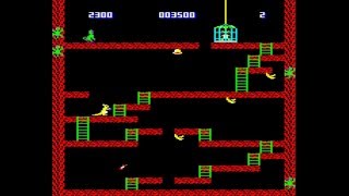 Wallaby on the Acorn Electron