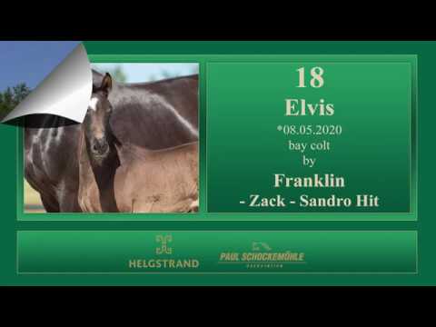 18 Elvis by Franklin - Zack - Sandro Hit