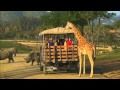Caravan Safari
