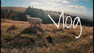 ニュージーランドでハイキングしたら羊がめっちゃいたVlog