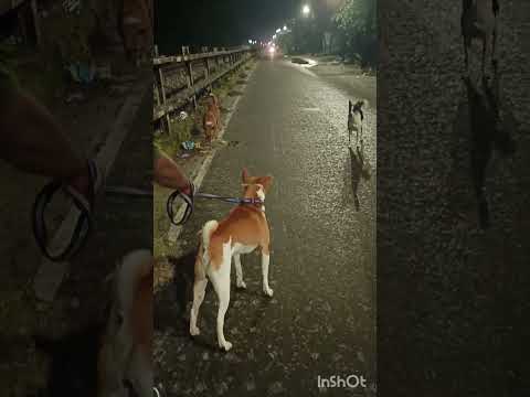 night walk 😁😁😁😁😁😁😁