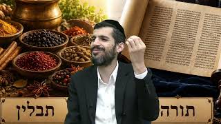 הרב יעקב ישראל גבאי שליט"א פרשת: ''בהר-בחוקתי'' בראתי יצר הרע בראתי לו תורה תבלין