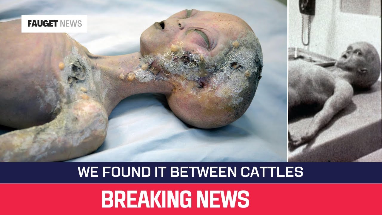 YouTube Thumbnail Downloader FULL HQ IMAGE