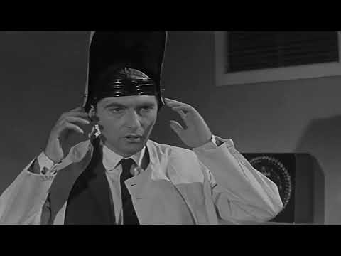 ᴀxᴇ ꜱᴄɪᴇɴᴛɪꜱᴛ The Curse Of The Fly (1965)