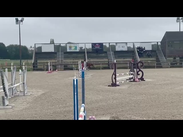 Poney D 11ans ideal famille et concours