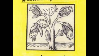 guided by voices - unstable journey