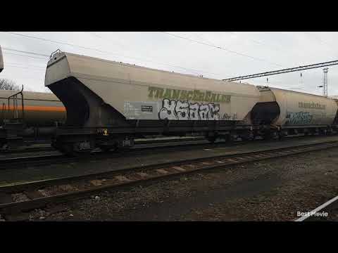 Teretni vlakovi u Hrvatskoj i Mađarskoj Ožujak 2019/Freight trains in Croatia and Hungary March 2019