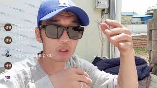 고추밭 로타리 작업 두둑과 고랑  넓게 만드는 방법
