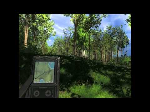 Weißwedelhirsch 11.10.2012