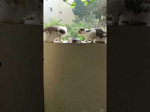 ithrayum snehamulla husband wife evide kaanaan kazhiyum 😘