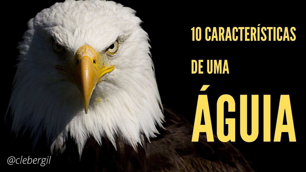 10 CARACTERÍSTICAS DE UMA #ÁGUIA | IMPACTO | @clebergil