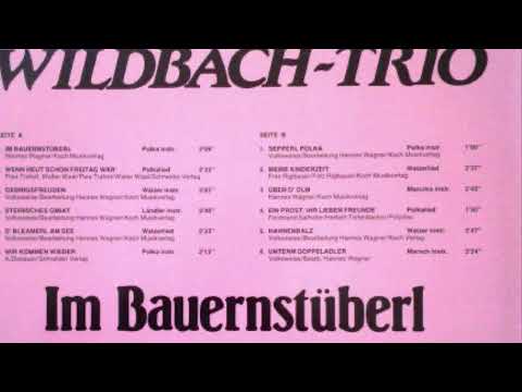 Wildbach Trio - 03 - Gebirgsfreuden