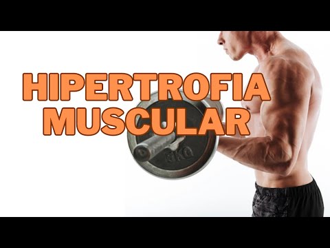 Hipertrofia 4: Tensión Mecánica, Estrés Metabólico y Frecuencia de entrenamiento