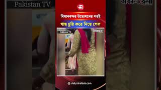 বিমানবন্দর উদ্বোধনের পর পরই গাছ চুরি করে নিয়ে গেল ভারতীয় কিছু জনগণ ! | Daily Sakalbela