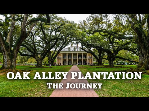 download lagu mp3 mp4 Oak Alley Plantation, download lagu Oak Alley Plantation gratis, unduh video klip Oak Alley Plantation