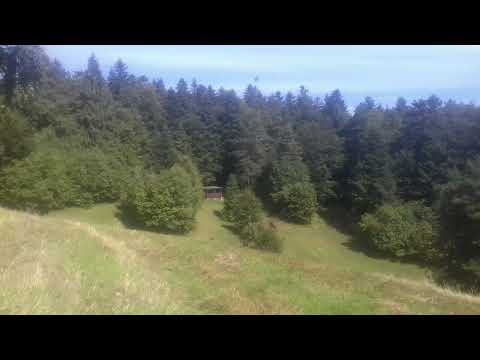 Narieka žalostne 154