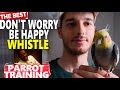 DON T WORRY BE HAPPY WHISTLE For Birds