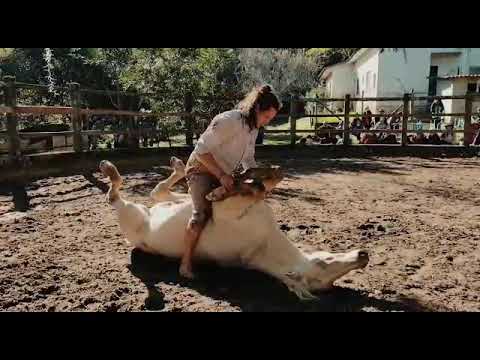 O maior retiro de autoamanse do mundo!