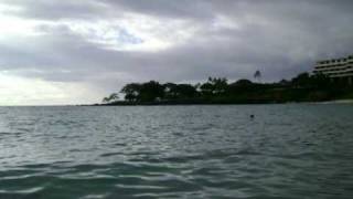 Plunkett - Insane from the CD Folk Songs