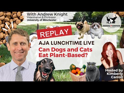 Can Dogs and Cats be Plant-Based? - Andrew Knight