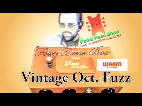 Awesome Vintage Fuzz the Foxy Tone Box by WARM AUDIO Review and Demo/The Good the Bad and the Fuzzy