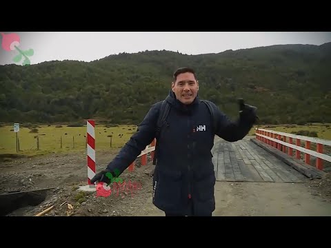 PANCHO SAS (COMPILATION)