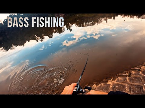 花よりバス釣り [バス釣り] [Vlog] [4K]