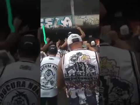 Torcida organizada armada até os dentes . #shorts #torcidaorganizada