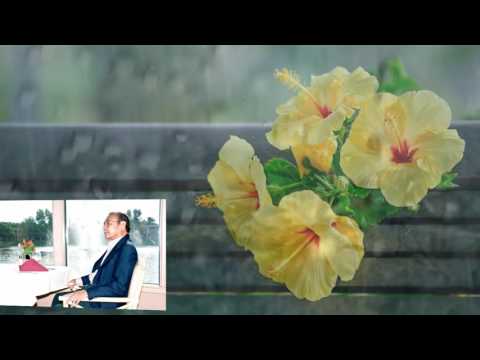 Lặng lẽ mình tôi - Trần Quang Lộc