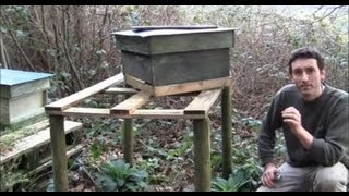 Beekeeping for beginners How to tell if your bees are OK in winter/spring, without opening the hive