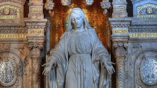 HOMILIA DE SEGUNDA-FEIRA - ENTREGA E DESAPEGO