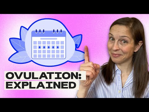 What is Ovulation? | Julie