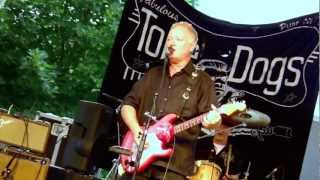 Sweet Home Chicago The Tone Dogs Recorded Live In Unionville