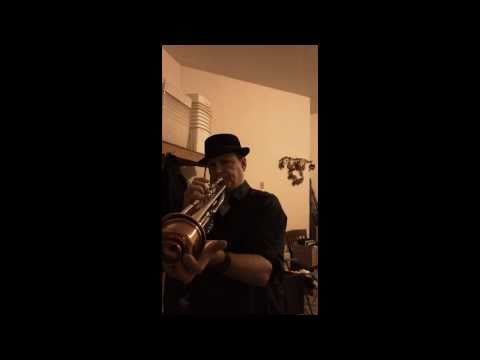 Strangers in the Night - Trumpet Solo