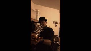 Strangers in the Night - Trumpet Solo